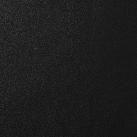 Black Leather 2109